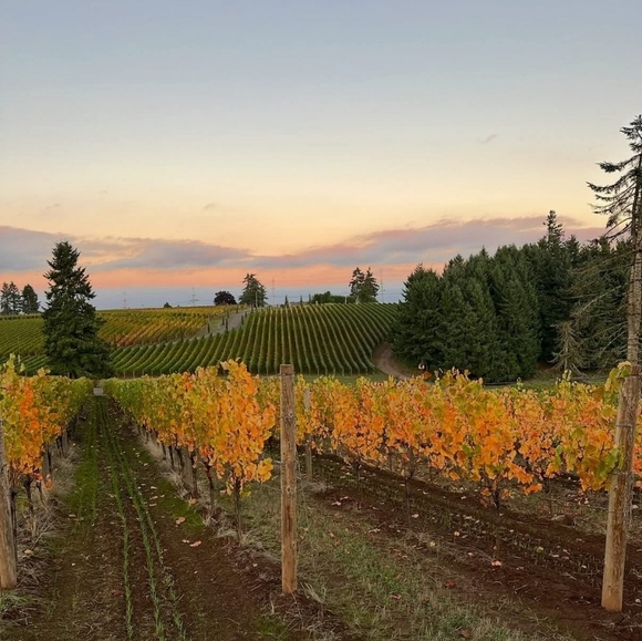 Meet your Posher - Picture 1 of 1